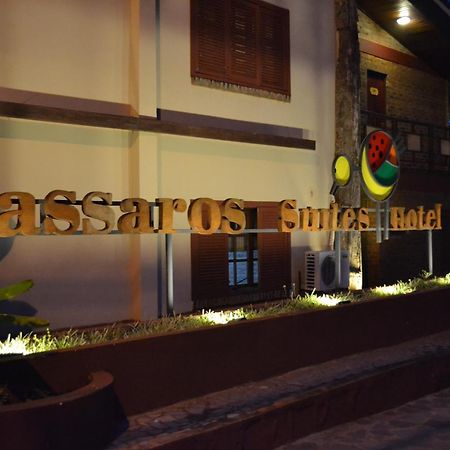 Passaros Suite Hotel Puerto Iguazu Bagian luar foto