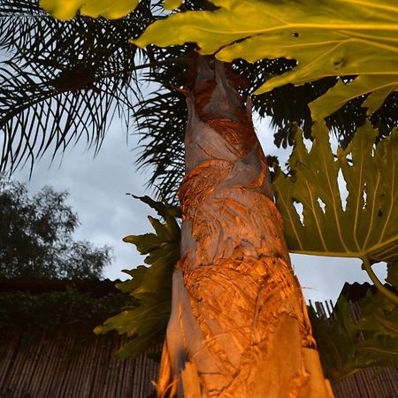 Passaros Suite Hotel Puerto Iguazu Bagian luar foto